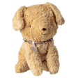 A plush teddy bear with light brown fur sits against a white background. It wears a decorative collar with a round pendant, conveying warmth and charm.