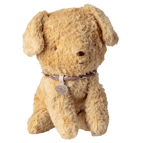 A plush teddy bear with light brown fur sits against a white background. It wears a decorative collar with a round pendant, conveying warmth and charm.