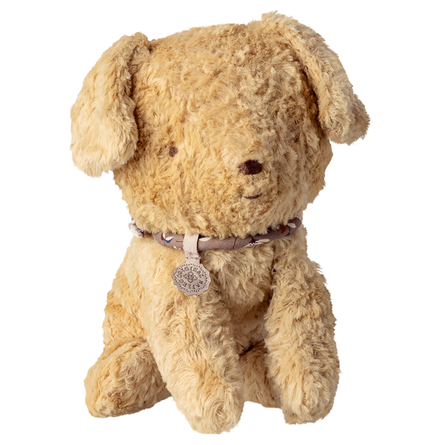 A plush teddy bear with light brown fur sits against a white background. It wears a decorative collar with a round pendant, conveying warmth and charm.