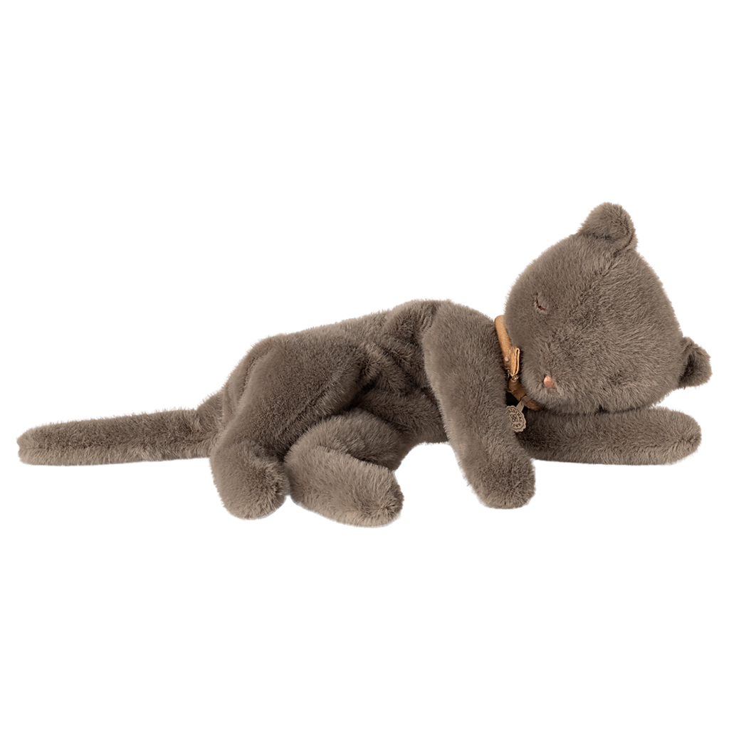 A plush gray cat lying on its side with its head resting on a front paw, wearing a small brown collar. The cat looks soft and cozy, conveying calmness.