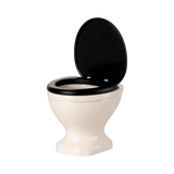 A miniature, white ceramic toilet with a black seat and lid open, set against a plain black background, conveying a quirky and playful tone.