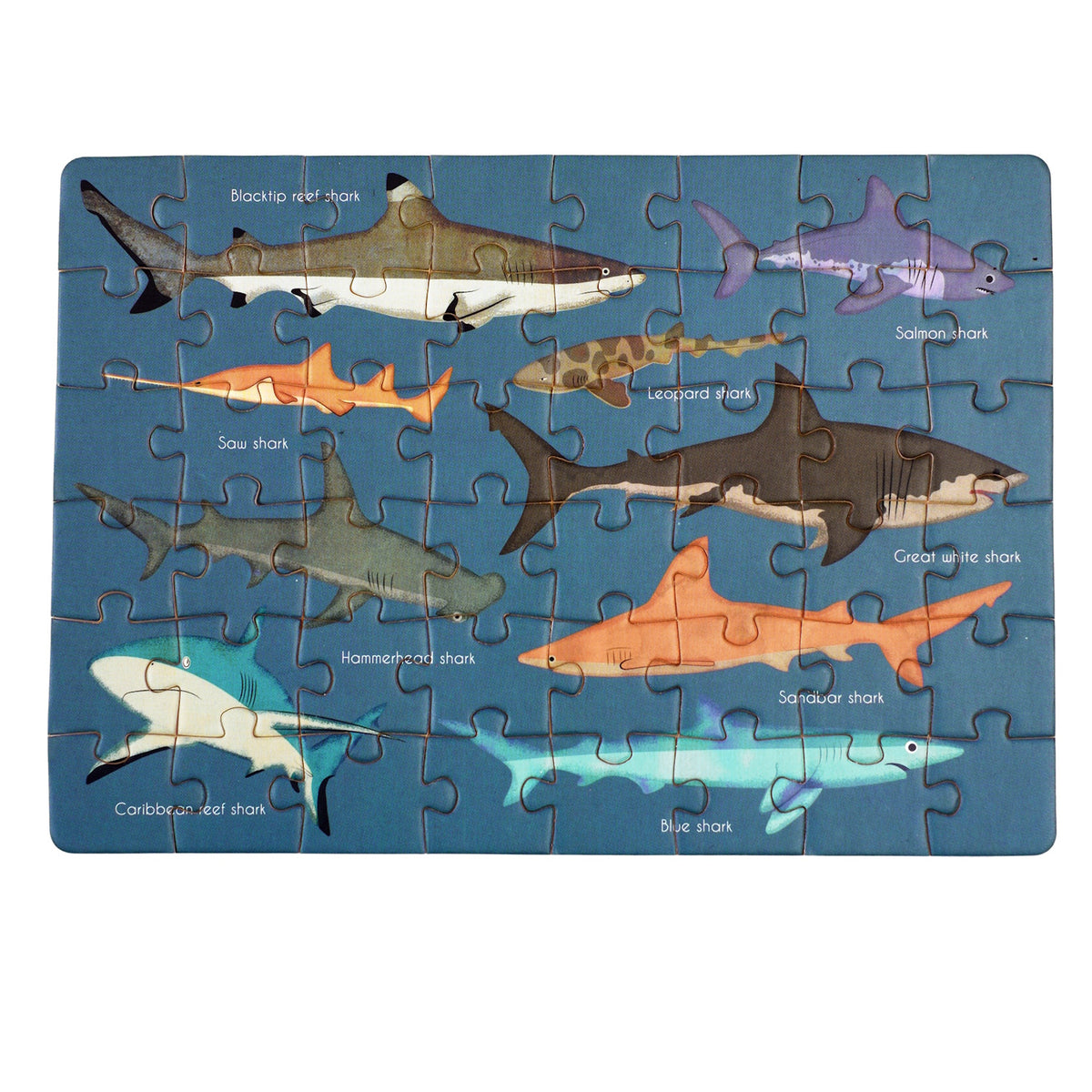 A 48 pcs. puzzle featuring various shark species on a blue background, packaged in a matchbox-sized box.