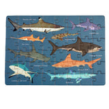 A 48 pcs. puzzle featuring various shark species on a blue background, packaged in a matchbox-sized box.