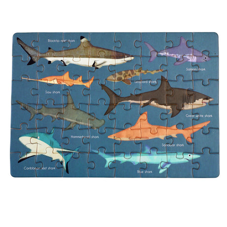 A 48 pcs. puzzle featuring various shark species on a blue background, packaged in a matchbox-sized box.