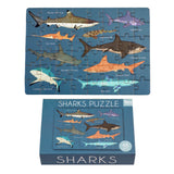 A 48 pcs. puzzle featuring various shark species on a blue background, packaged in a matchbox-sized box.