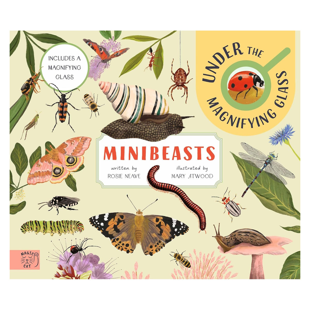 Minibeasts Under the Magnifying Glass book cover featuring illustrations of insects, a snail, and a butterfly.