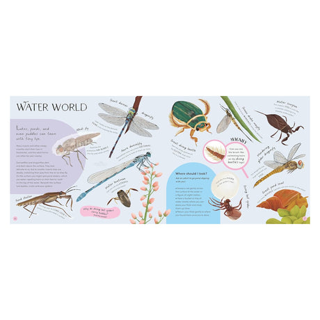 Illustrated "Water World" book spread showcasing aquatic insects like dragonflies, beetles, and snails with educational facts.
