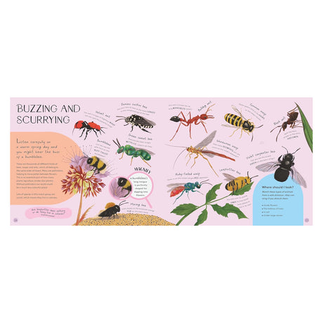 Educational children's book spread "Buzzing and Scurrying" featuring colorful illustrations of bees, wasps, and ants.