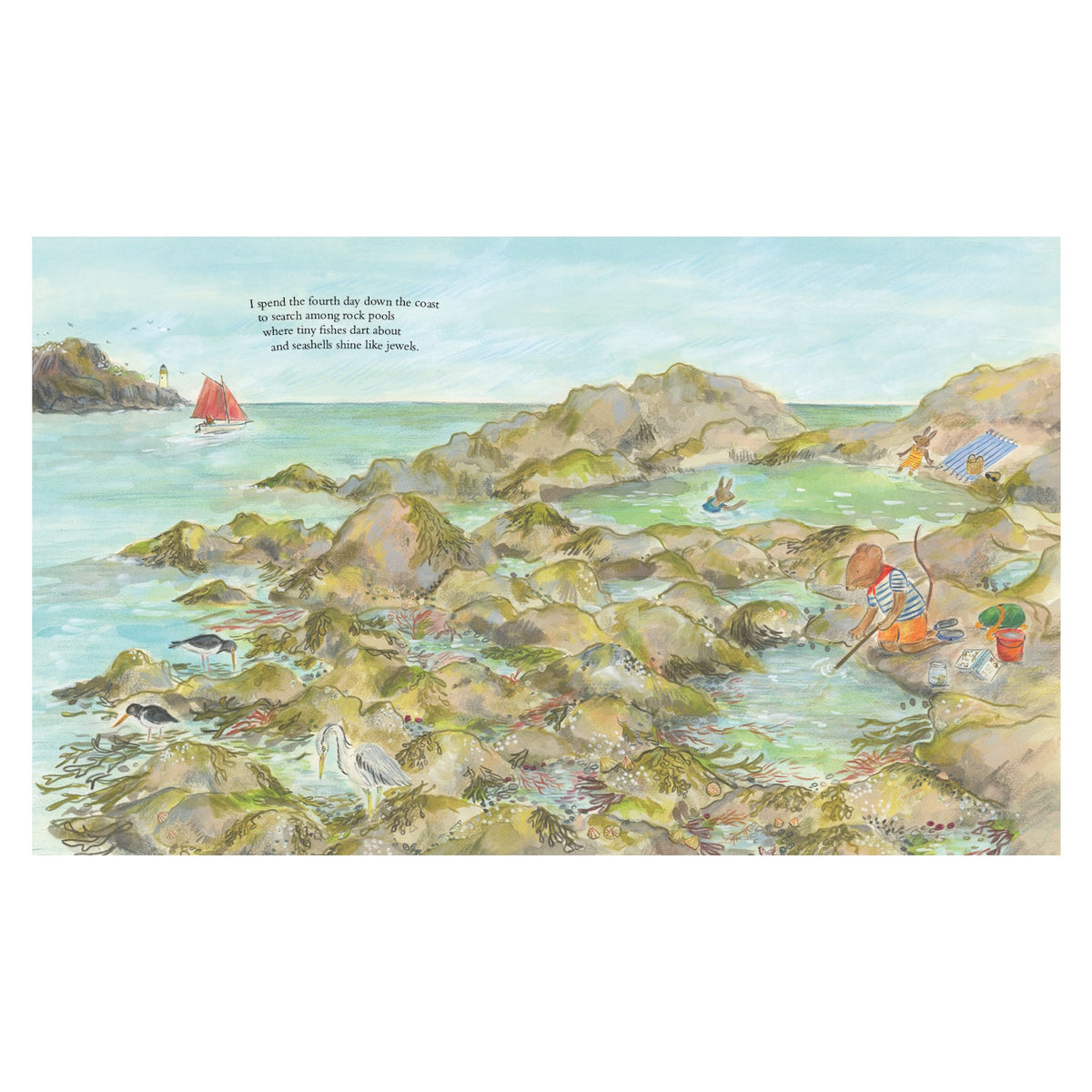 Children's illustration of a mouse exploring rocky tide pools by the ocean while a sailboat glides past.