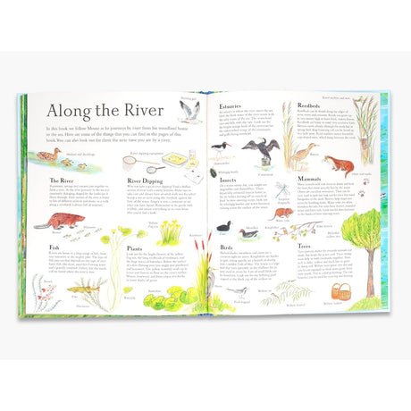 Open book "Along the River" with nature illustrations of birds, fish, and plants for children's nature education.