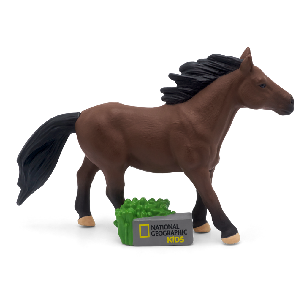A brown toy horse with a flowing mane stands next to a green stack, labeled "National Geographic Kids" audiobook.