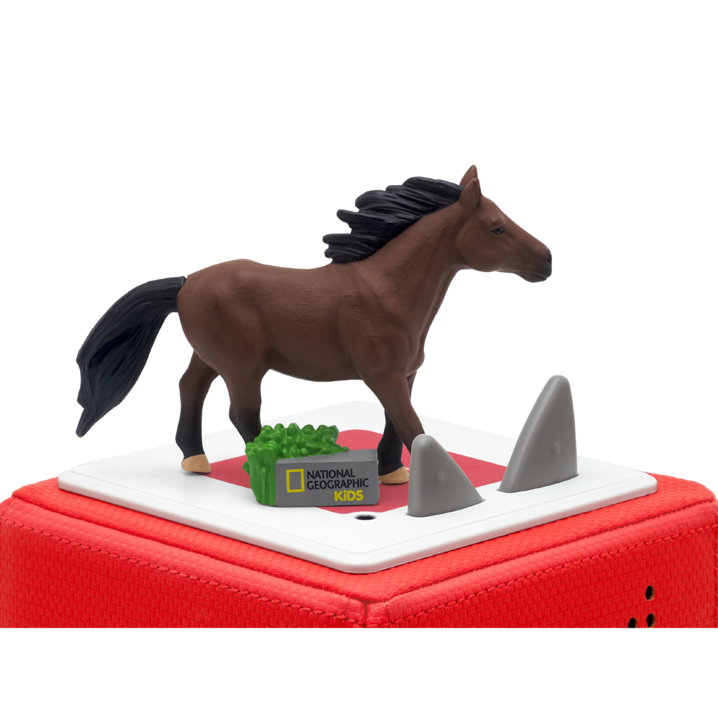 A brown toy horse with a flowing mane stands next to a green stack, labeled "National Geographic Kids" audiobook.