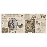 Illustrated guide showing fairies interacting with animals in a whimsical forest. Features woodpeckers, hedgehogs, and squirrels with playful fairies.