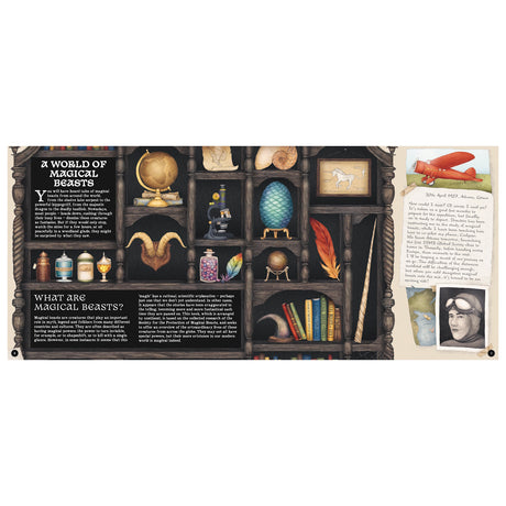 Illustration of a cabinet of curiosities with magical artifacts, books, and a pilot's journal entry.