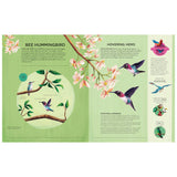 An illustrated book spread about the Bee Hummingbird, featuring colorful bird drawings, flowers, and educational facts.