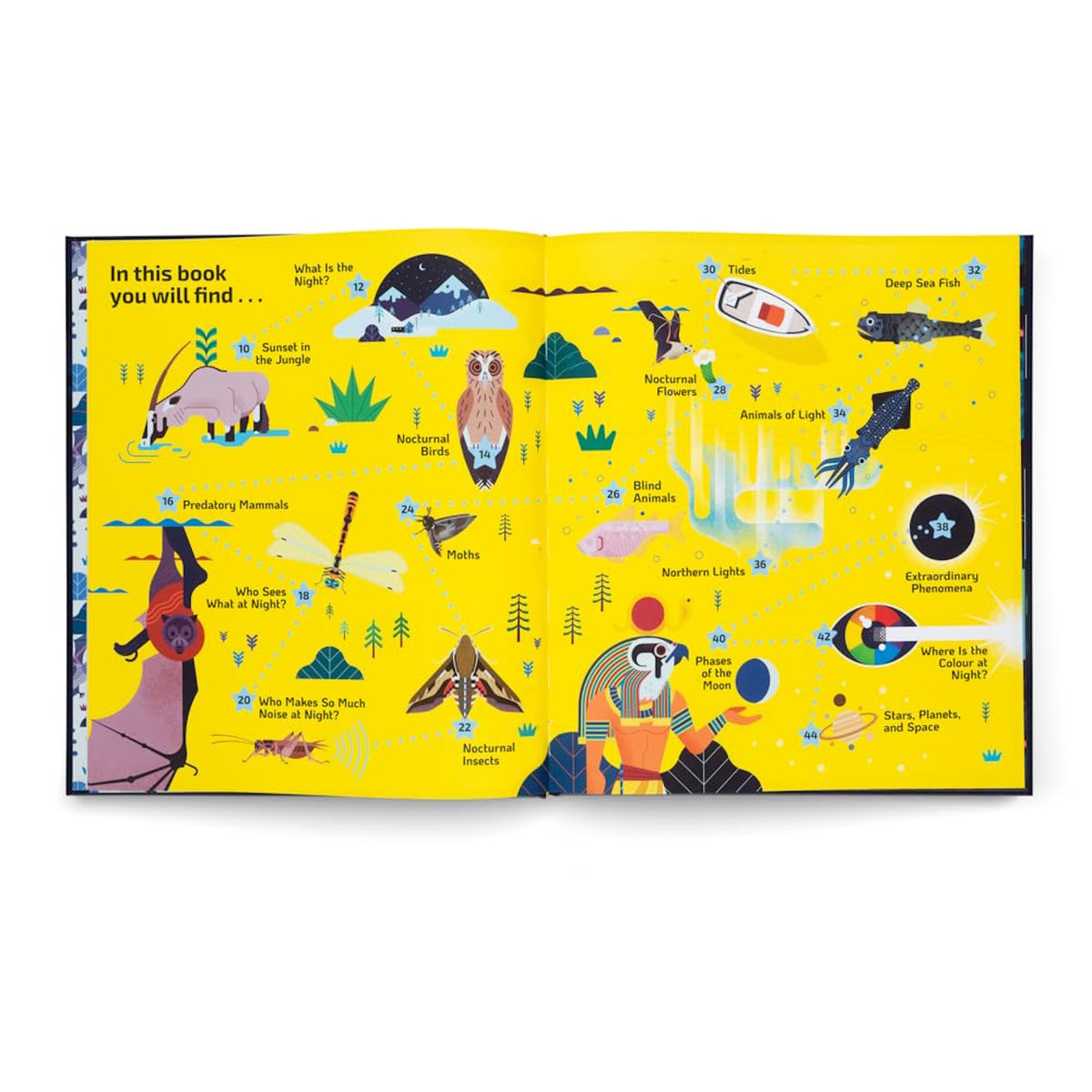 Children's book table of contents featuring colorful illustrations of nocturnal animals and celestial phenomena.