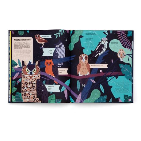 Illustrated open book spread titled "Nocturnal Birds" featuring various colorful owl species on tree branches at night.