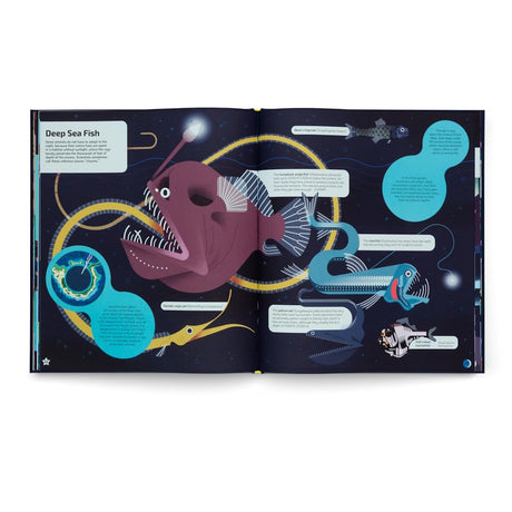 Illustrated children's book spread on deep sea fish, featuring an anglerfish, viperfish, and bioluminescent sea creatures.