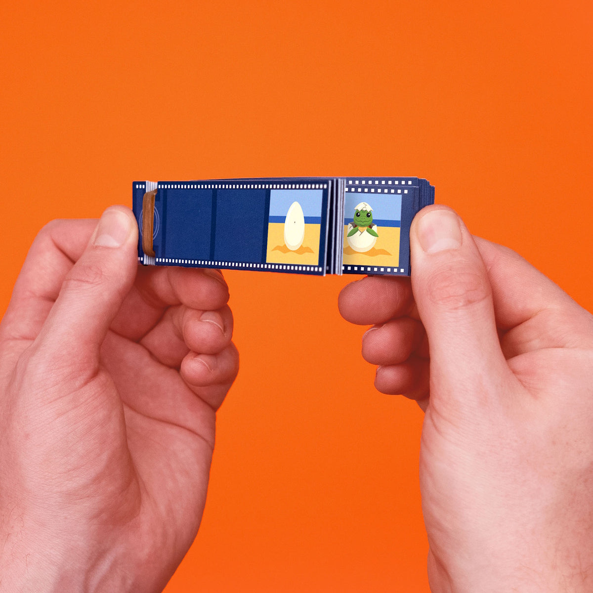 Hands flipping through a blue sea turtle animation flip book on a bright orange background.