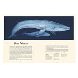 Illustration of a blue whale and calf from "Oceanarium: Welcome to the Museum" with educational text and diagrams.