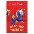 Ottoline and the Yellow Cat book cover by Chris Riddell, showing a girl, hairy creature, and a masked cat.