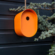 Modern orange oval bamboo fiber birdhouse hanging on a dark wood wall outdoors near evergreen tree branches.