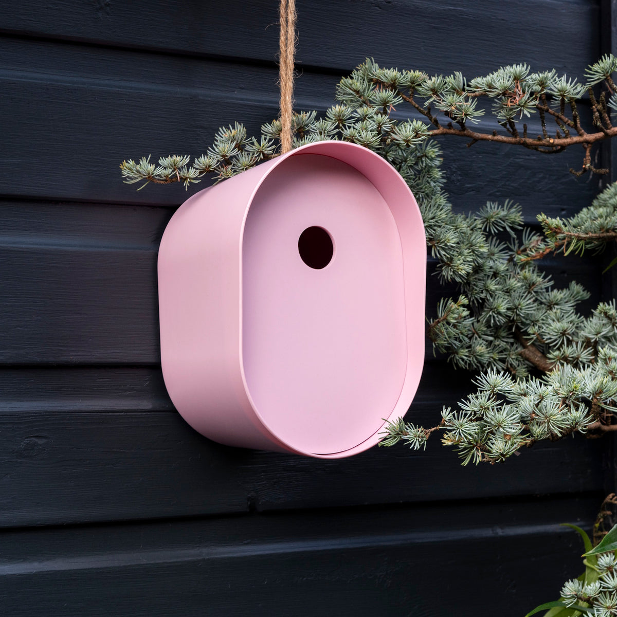 A contemporary oval pink birdhouse hangs from twine against a dark charcoal wooden wall, framed by fir branches.