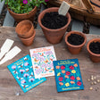 Seed packets for Bees, Butterflies, and Ladybirds on a wooden table with terracotta pots and garden tools.