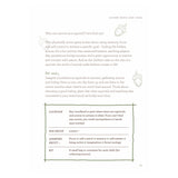 Book page showing instructions and a framed summary box for an Acorn Hide-And-Seek activity.