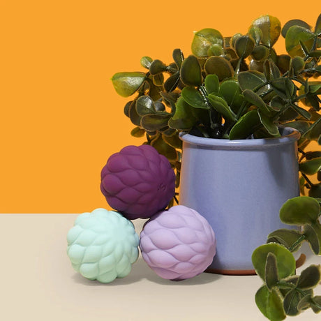 Three petal-textured magnetic fidget spheres next to a potted green plant against a yellow backdrop.