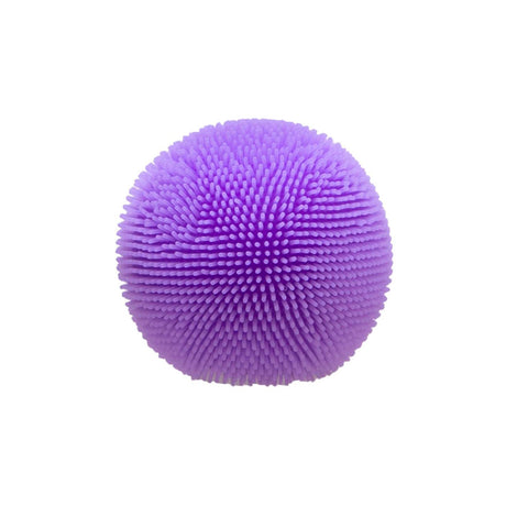A small, purple fuzzy toy ball with rubbery bristles, centered on a white background.