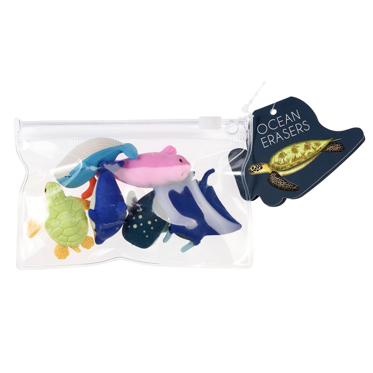 A clear zippered pouch contains colorful ocean-themed erasers, including a turtle and fish. A tag labeled "Ocean Erasers" with a turtle image is attached.