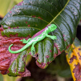 Bright green toy lizard with purple stripes on a large, glossy green and brown plant leaf. The leaf shows signs of aging, enhancing the contrast.