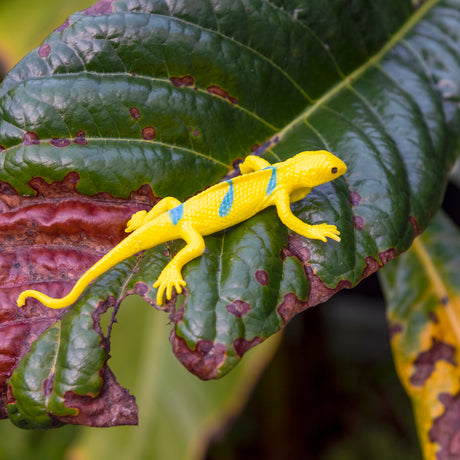 A vibrant yellow and blue toy lizard lies on a large green leaf with brown spots, creating a playful contrast in a natural setting.