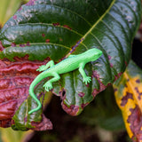 A bright green lizard toy lies on a large, dark green leaf with brown patches. The scene has a vibrant, natural feel with rich textures.