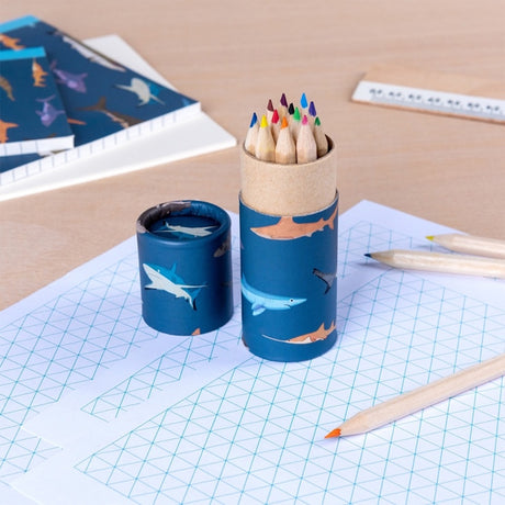 Shark print tube filled with colored pencils sitting on grid paper alongside notebook and stationery.