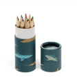 Shark-themed cardboard tube storing colorful mini pencils with lid off against white background.