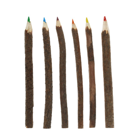 Six rustic colored pencils made from branches arranged vertically. Each pencil has a different tip color: green, blue, purple, orange, yellow, and red. Natural and earthy tones.