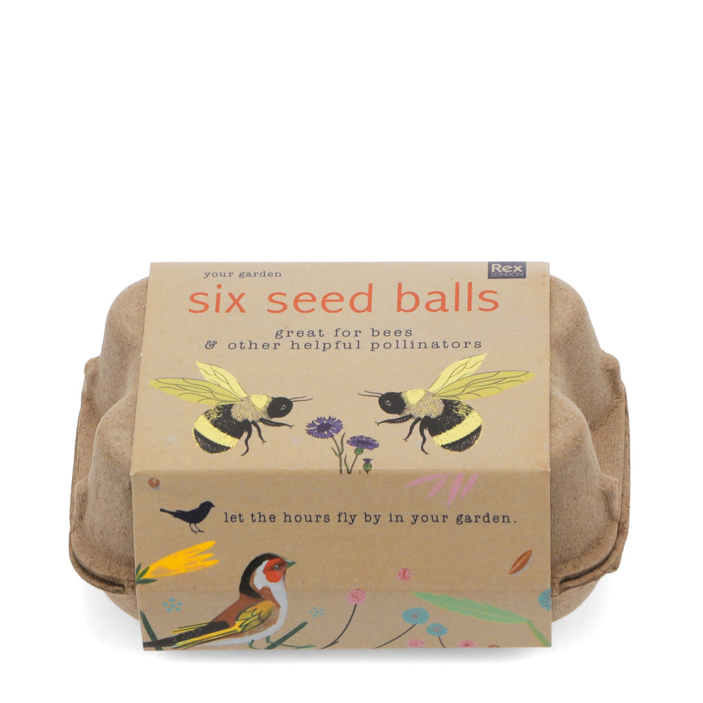 A cardboard egg carton with six seed balls labeled "Six Seed Balls" designed to attract bees and pollinators, positioned beside the box.