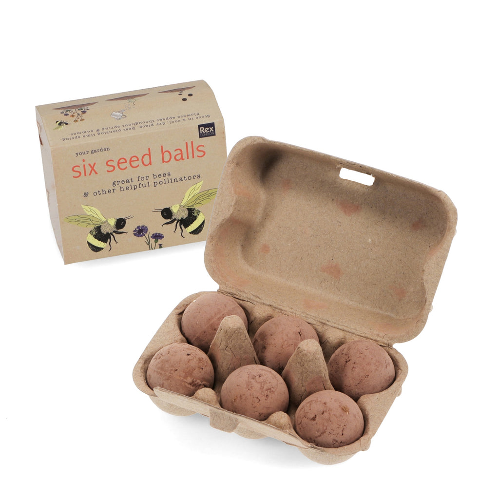 A cardboard egg carton with six seed balls labeled "Six Seed Balls" designed to attract bees and pollinators, positioned beside the box.