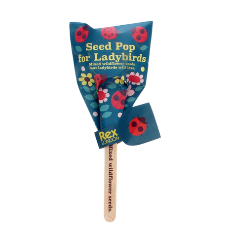 Rex London Seed Pop for Ladybirds: mixed wildflower seeds on a wooden stick with blue ladybird and floral packaging.