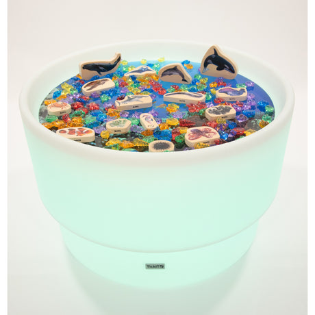 Sensory Mood Discovery Table