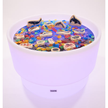 Sensory Mood Discovery Table