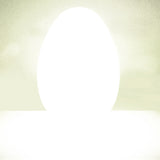 A large, glowing white egg-shaped object centered on a muted greenish-gray background, conveying a mysterious and serene atmosphere.