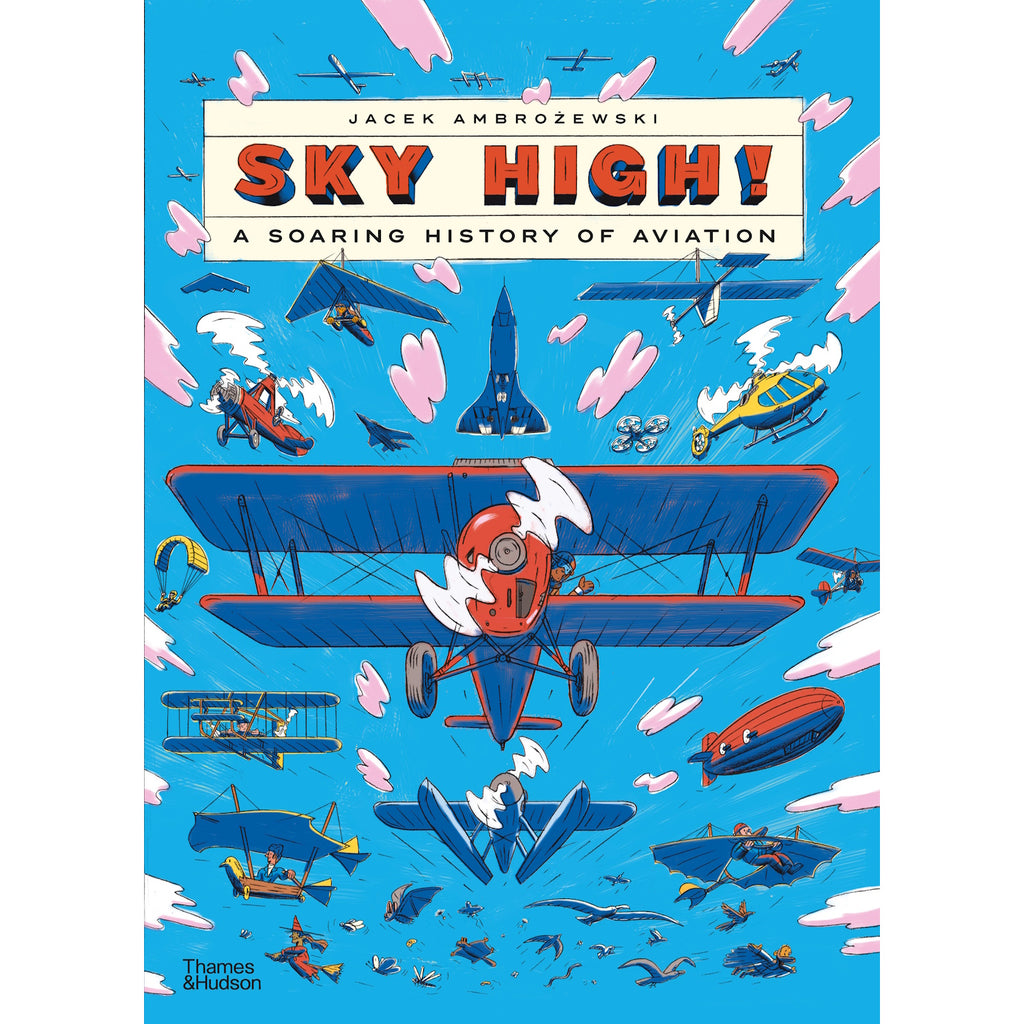 A vibrant book cover titled "Sky High! A Soaring History of Aviation" features various aircraft in bright blues and reds against a sky-blue background with white clouds.
