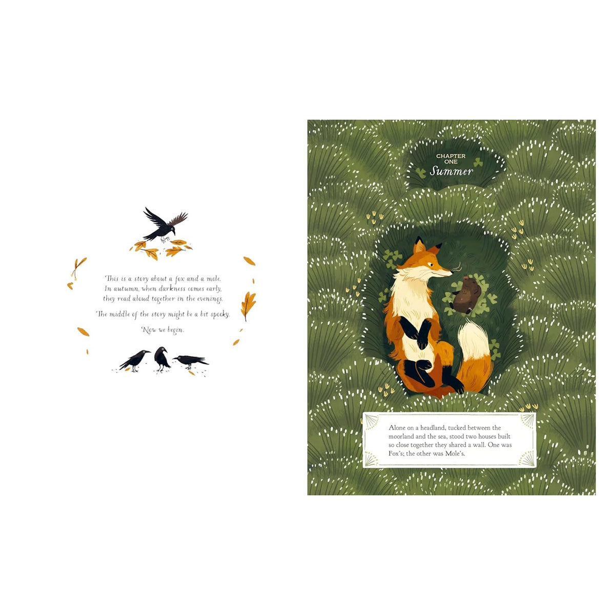 Children's book illustration of a fox and mole nestled in green grass, featuring "Chapter One: Summer" story text.
