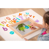 Small Wooden Mirror Tray