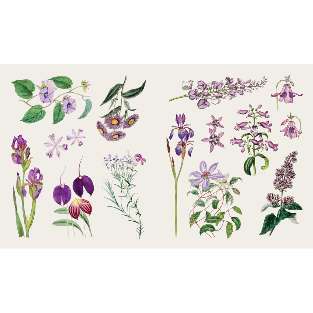 A beautifully illustrated activity book filled with reusable stickers and floral scenes to decorate, perfect for creative nature lovers.
