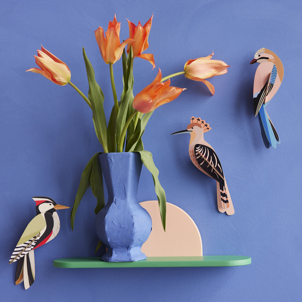 Studio Roof Garden Birds Jay