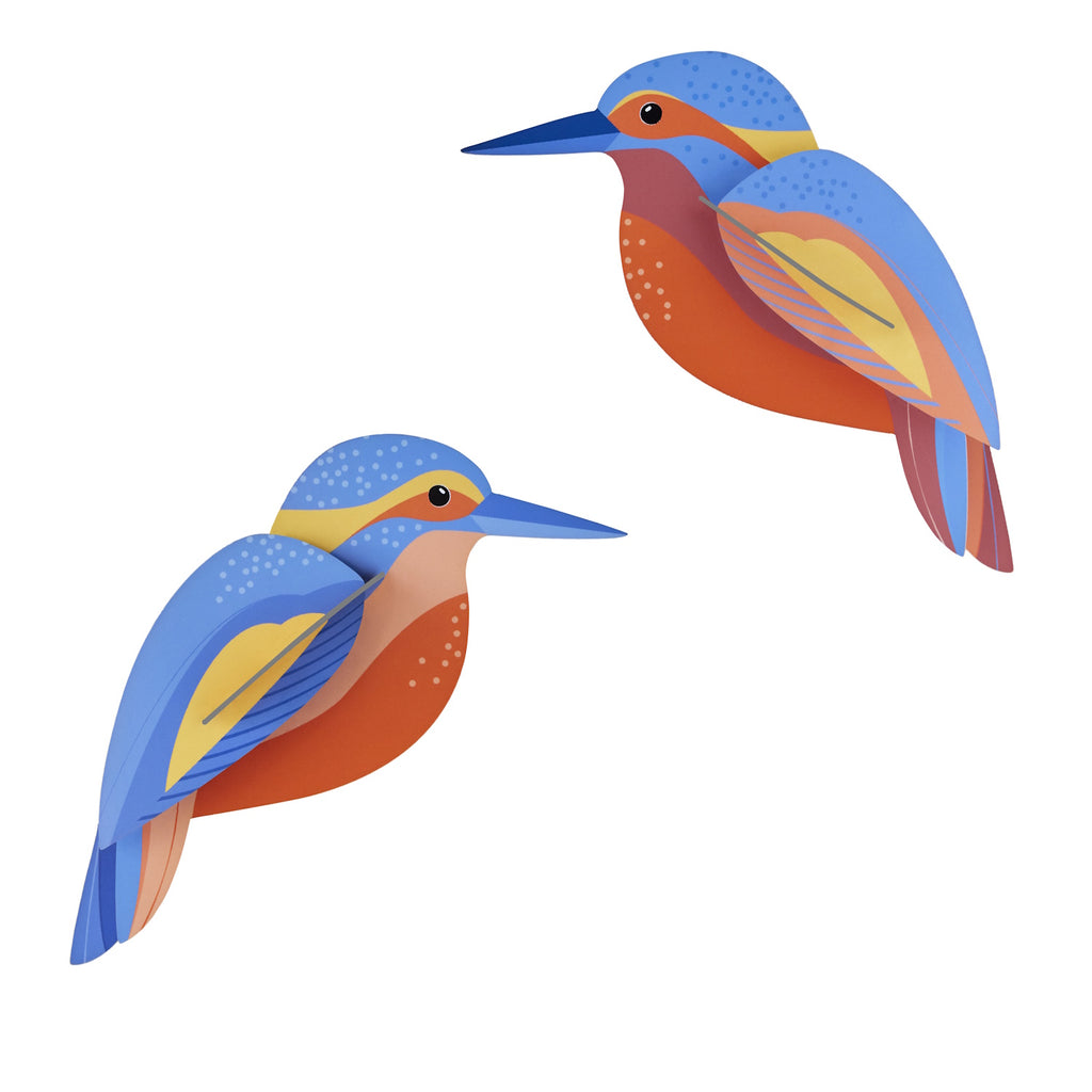 Illustration of two stylized kingfishers facing each other, featuring vibrant blue, orange, and yellow geometric shapes, conveying a playful tone.